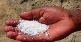 Salz deo - Die ausgezeichnetesten Salz deo verglichen